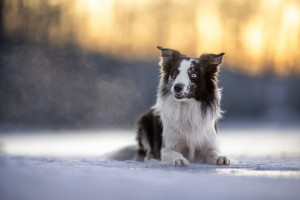 Neskutečnej fešák (foto: Michal Hurník)