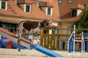 Zóna byla:D (foto: Martin Zobač)