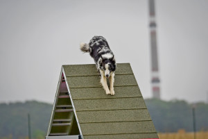 Na áčku (foto: Dominika Petrlíková)