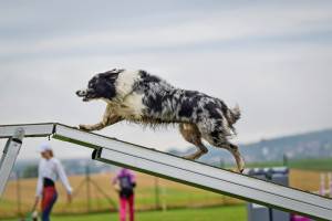 Náběh na kladinu (foto: Dominika Petrlíková)