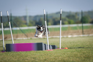 Nad zemí (foto: Dominika Petrlíková)