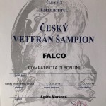 Simon český veterán šampion